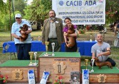 CACIB ADA